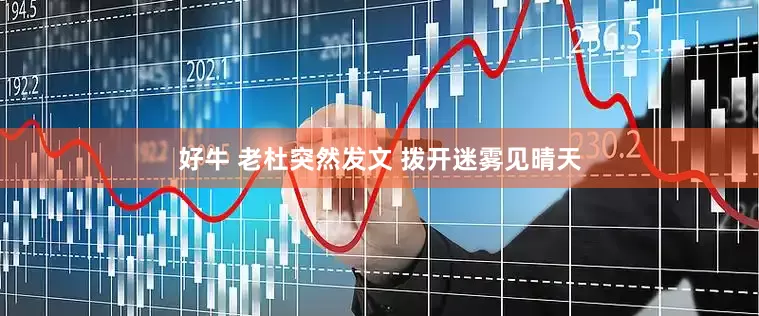 好牛 老杜突然发文 拨开迷雾见晴天