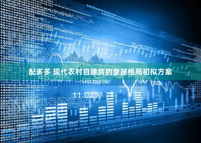 配多多 现代农村自建房的堂屋格局初拟方案