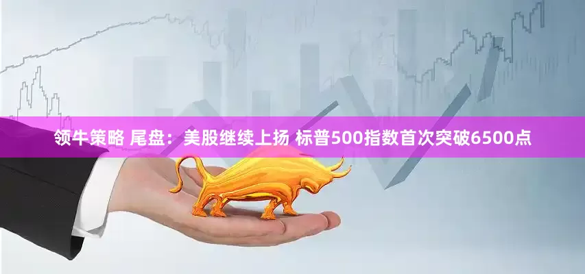 领牛策略 尾盘：美股继续上扬 标普500指数首次突破6500点