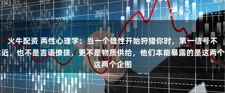 火牛配资 两性心理学：当一个雄性开始狩猎你时，第一信号不是靠近，也不是言语撩拨，更不是物质供给，他们本能暴露的是这两个企图